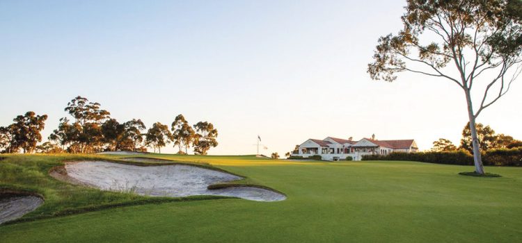 Loughnane driving success as Yarra Yarra GM