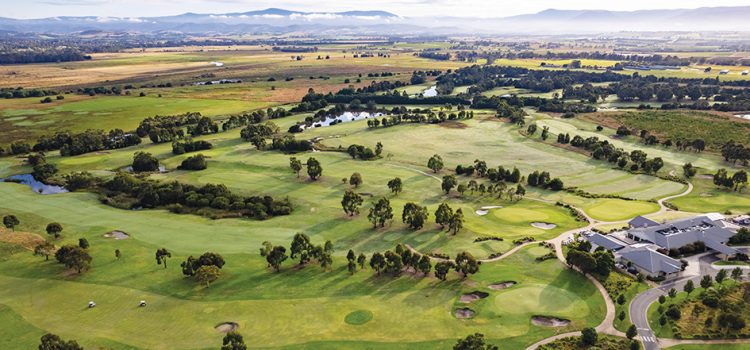 CLUB OF THE MONTH: Yering Meadows