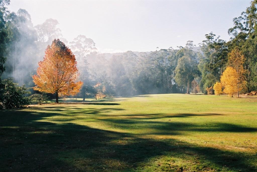 golf club banner