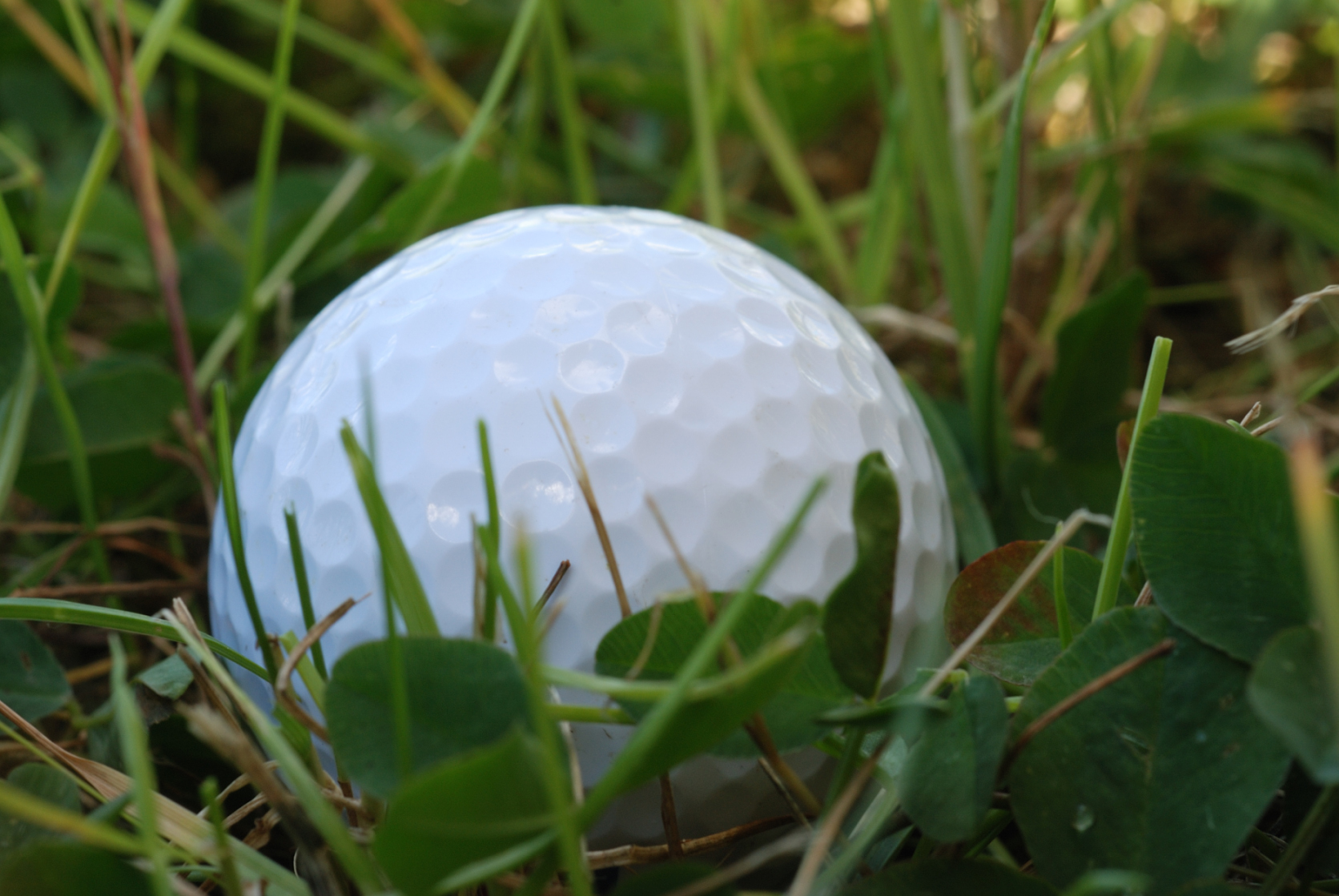 Golf Ball Rough