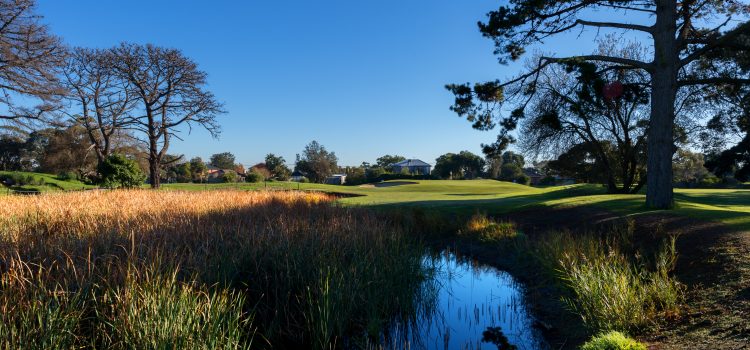 Club of the month: Rossdale Golf Club