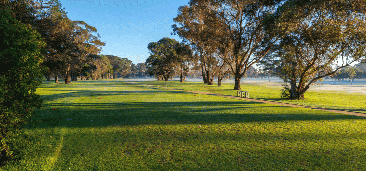 Sandhurst, Rossdale discuss merger Sandhurst, Rossdale discuss merger