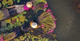 Imagine Cruising – all-encompassing travel experiences 