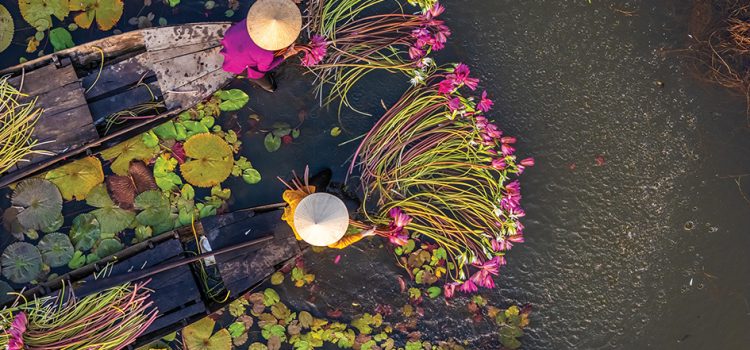 Imagine Cruising – all-encompassing travel experiences 